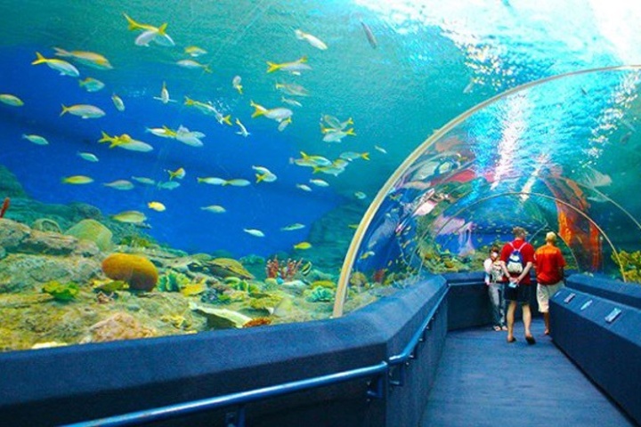 Discover the Wonders of the National Oceanographic Museum Nha Trang