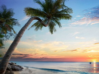 Discover the Bliss of Phu Quoc Beach 4 Days / 3 Nights