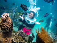 Discover the Thrills of Biking Mekong Delta & Snorkeling Phu Quoc 6 Days / 5 Nights