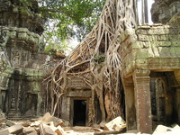 Explore the Mystical Shores & Shrines of Cambodia 10 Days / 9 Nights