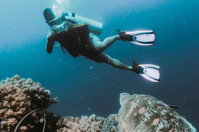 Experiencing scuba diving with Vinpearl Diving Club