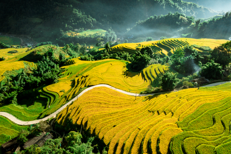Have a wonderful adventure in Sapa while on Vietnam tours