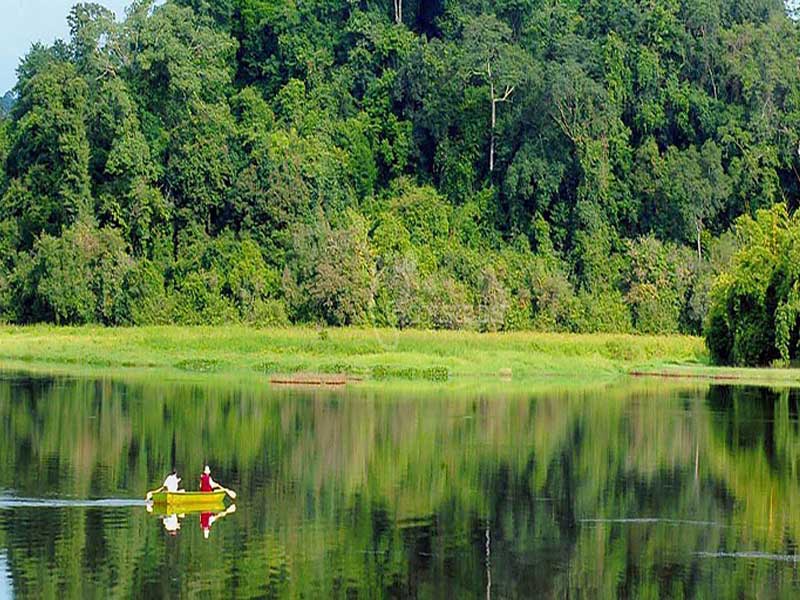 Cat Tien National Park has many interesting activities such as climbing, camping, or rowing