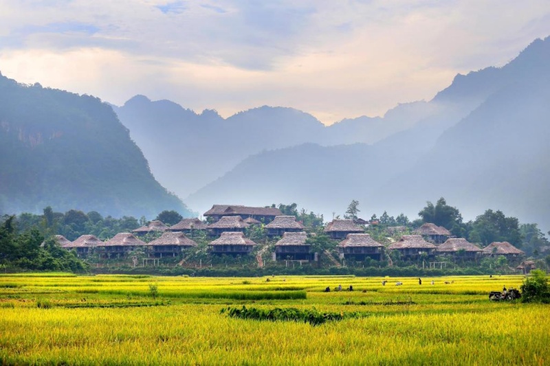 Mai Chau is the most beautiful from late September to early May - Trekking in Vietnam