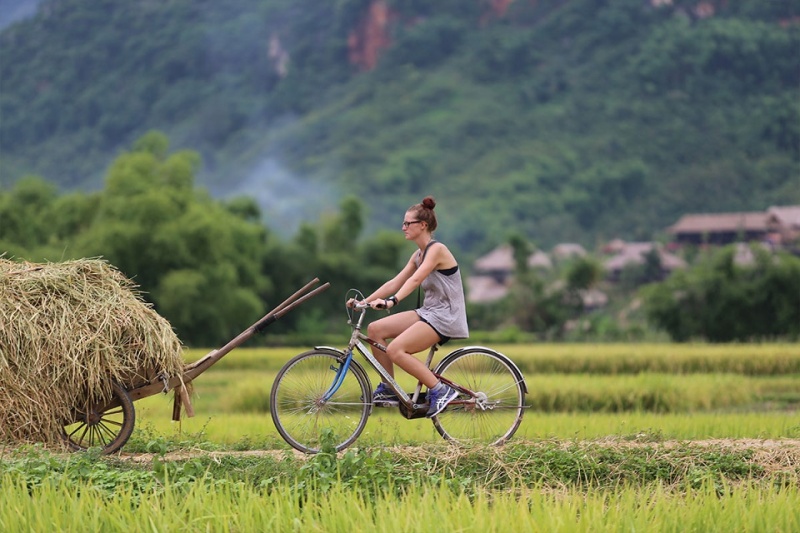 A Vietnam local tour allows visitors to experience the daily life of local people