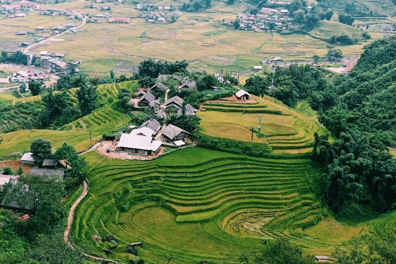 Admire the rice terraced fields at Ta Van village