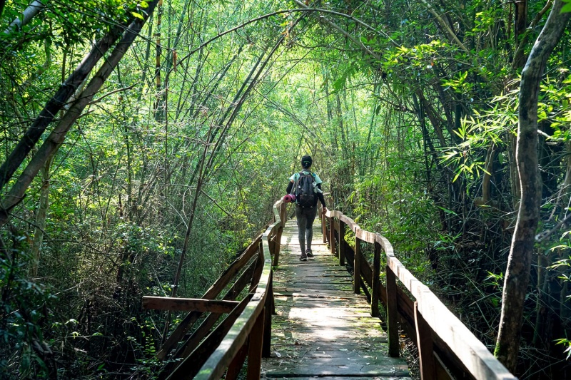 Immerse yourself in nature while exploring Cat Tien national park
