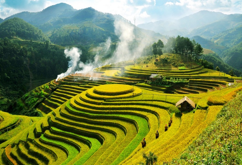 Muong Hoa valley with seemingly endless rice paddies - Sapa Vietnam tours