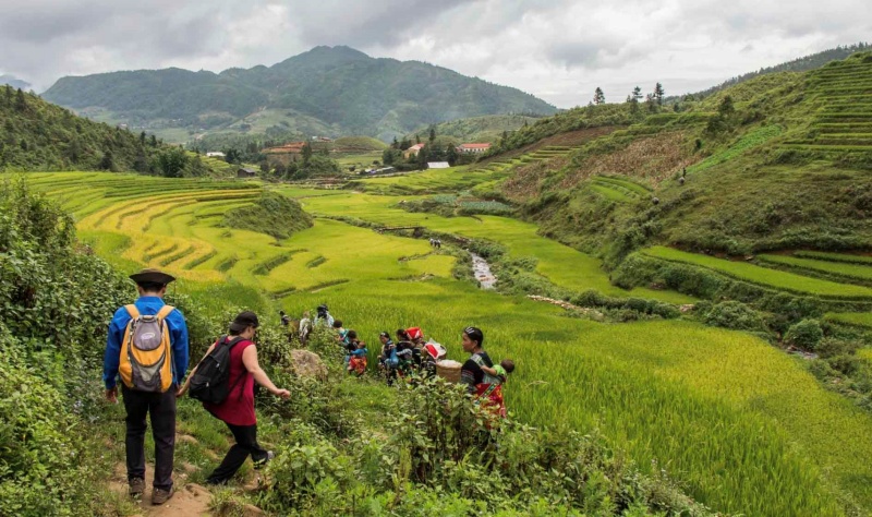 Go on a trekking adventure to the mountain top in Sapa