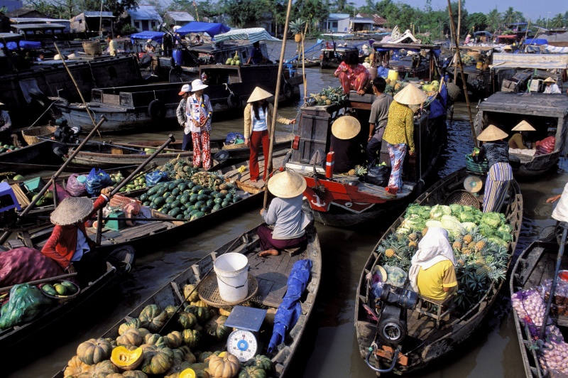 Immerse yourself in the bustling atmosphere of Cai Rang floating market