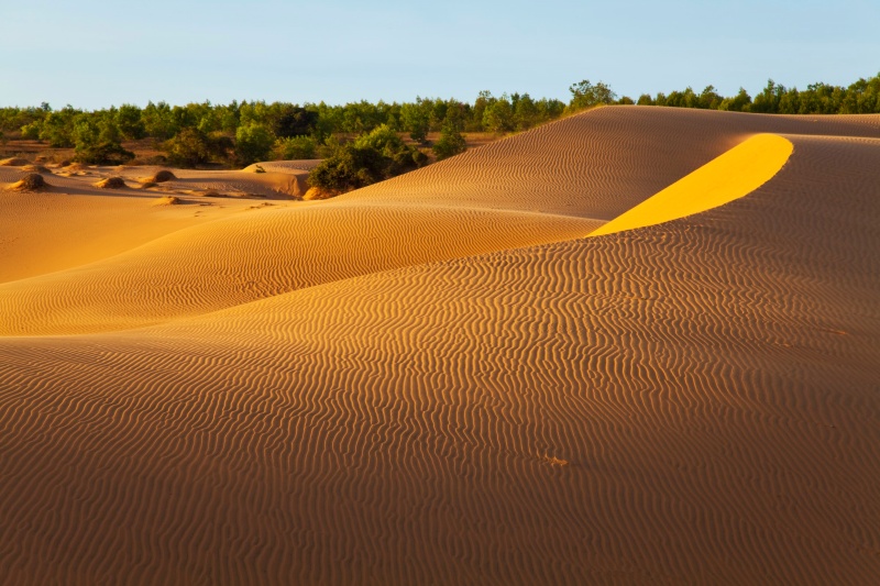 Admire the movie-like sand dunes at Mui Ne while touring Vietnam