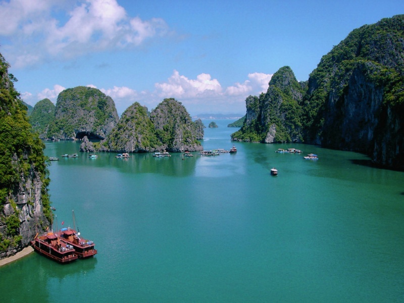 Cong Do Island of Halong has an untouched natural diversity