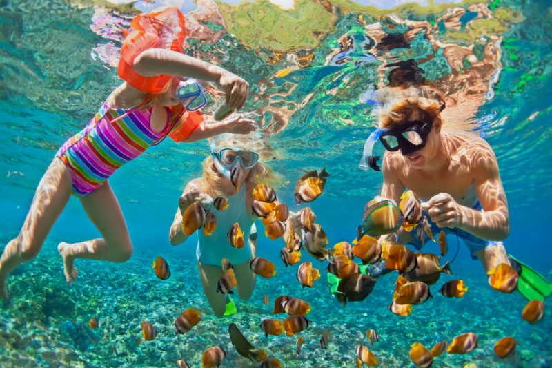 Explore the marine life of Phu Quoc island