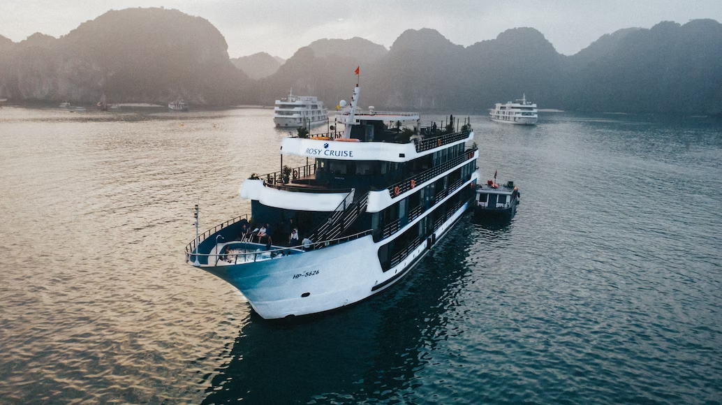 Best Wildlife Tours in Vietnam: Boat Cruises & Sightseeing Tours