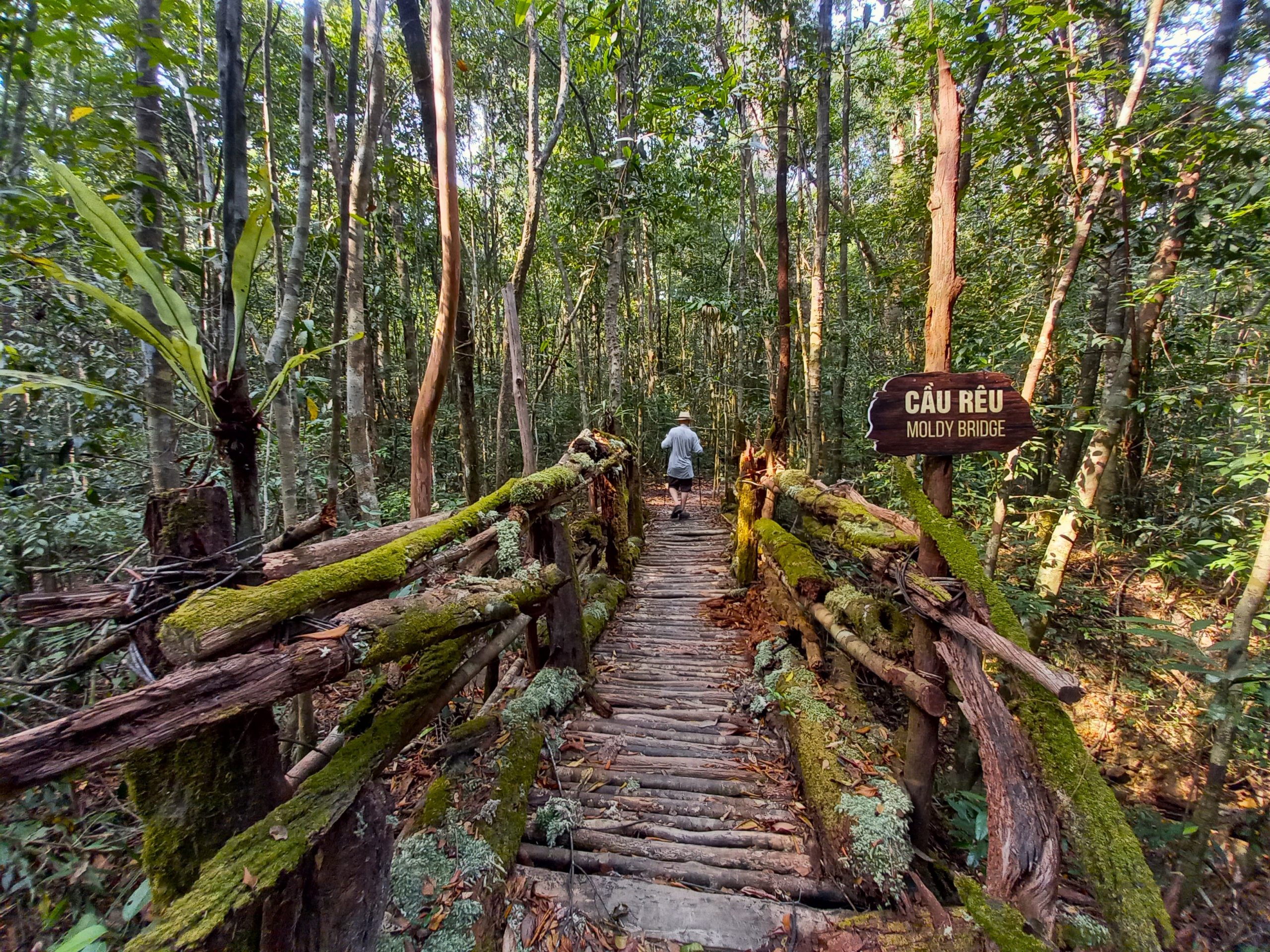 Take a journey of discovery through Phu Quoc National Park