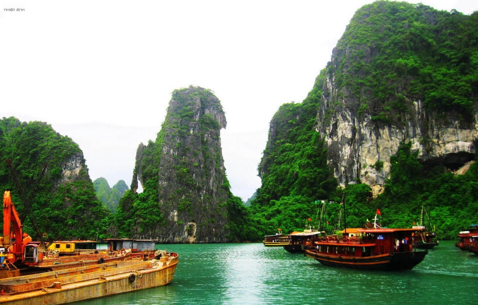 Immerse yourself in the stunning natural landscapes of Halong Bay, Vietnam