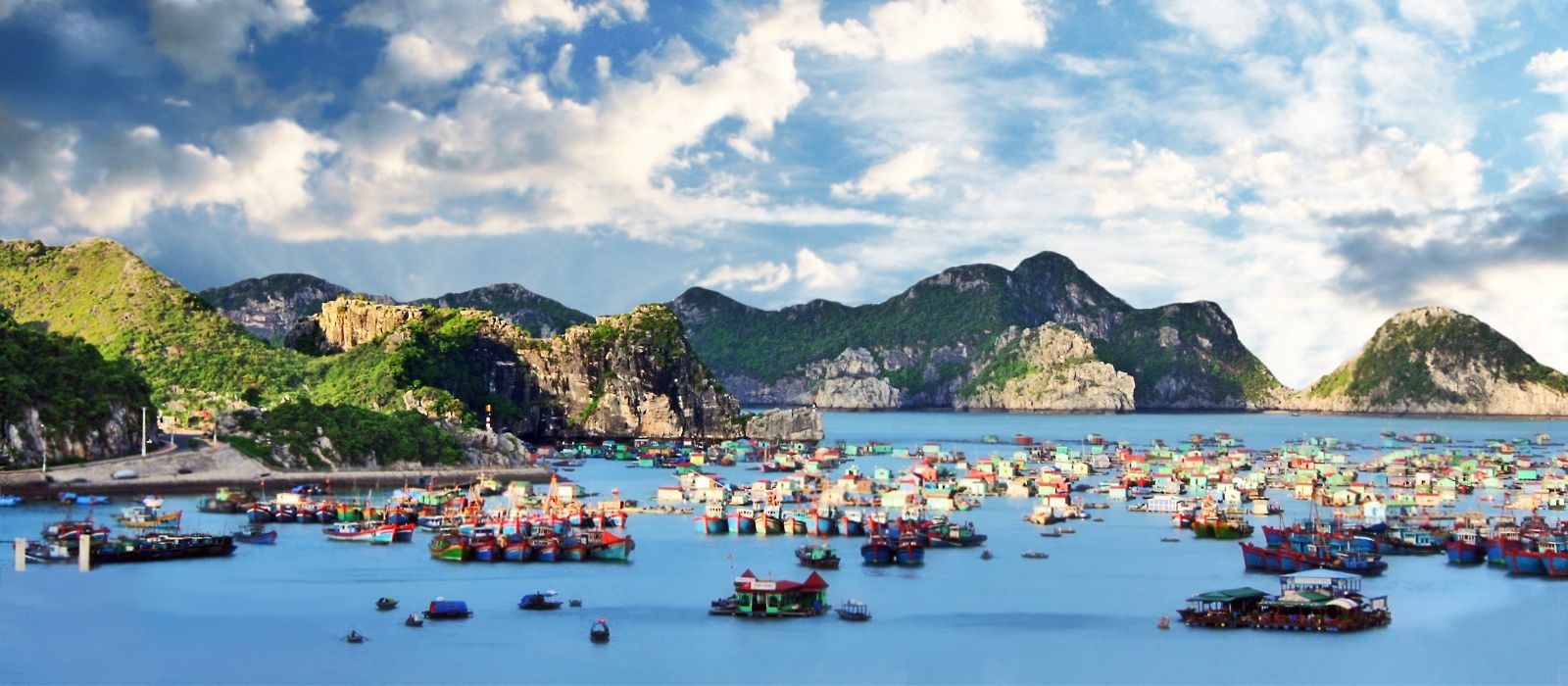 Exclusive Travel Tips for Cat Ba Island in Vietnam