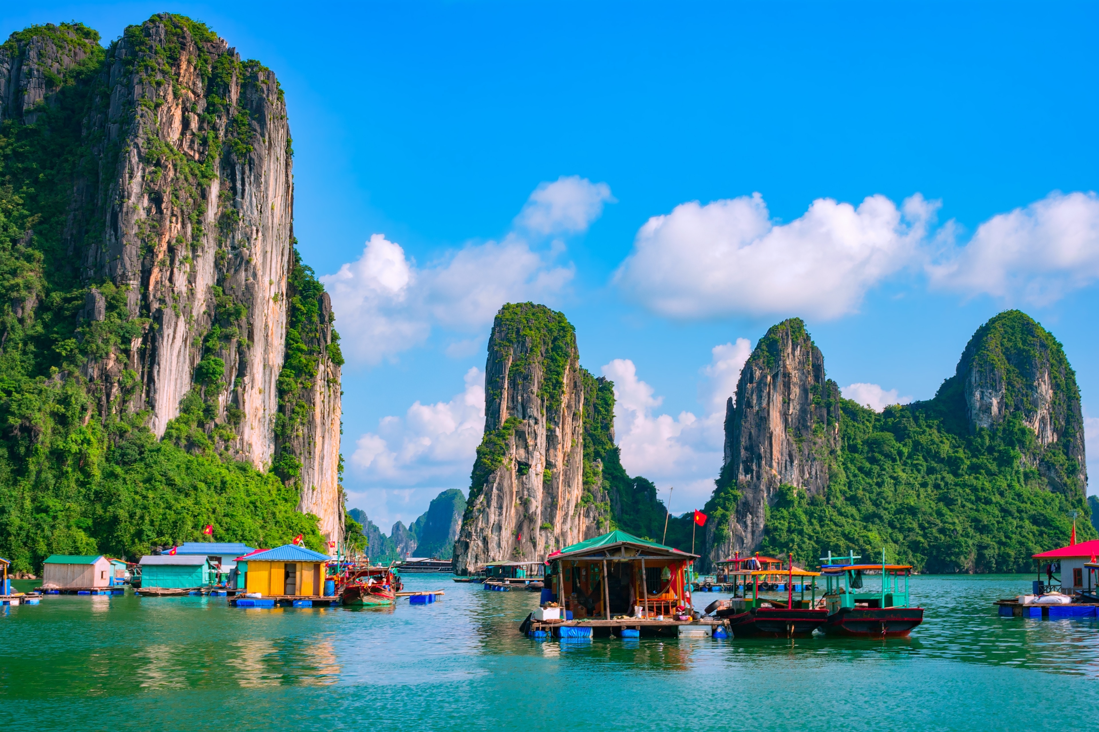  Immerse yourself in the breathtaking beauty of Halong Bay and Sapa, two must-see destinations in Vietnam.