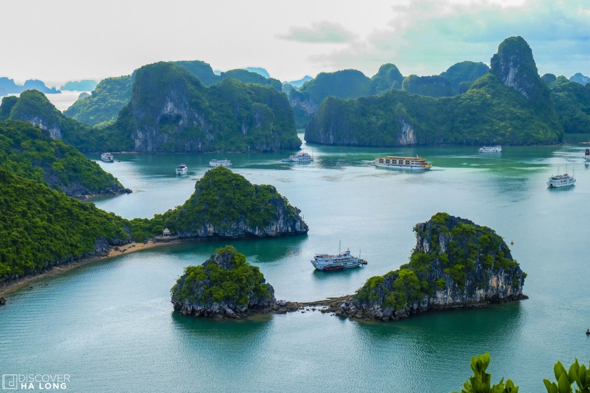 Discover the stunning beauty and unique culture of Halong Bay, Vietnam with expertly curated tours