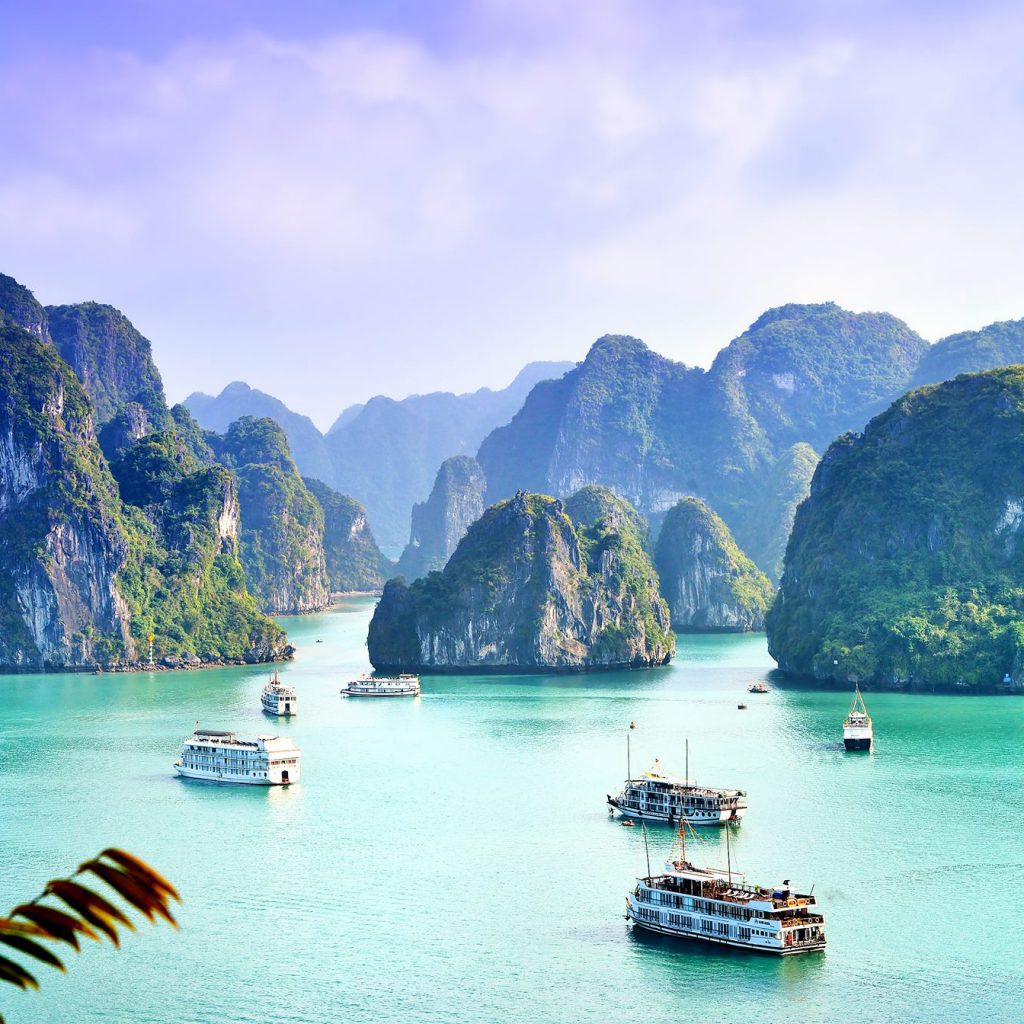 Explore the beauty, culture, and history of Halong City with guided tour