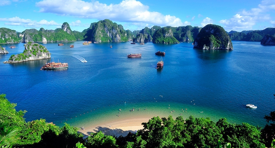 Discover the Wonders of Halong Bay Vietnam 