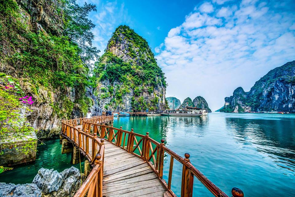 Experience the enchanting beauty and culture of Hanoi and Halong Bay through unique tours