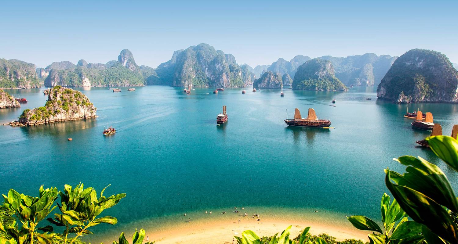 Discover the beauty of Halong Bay on a cruise