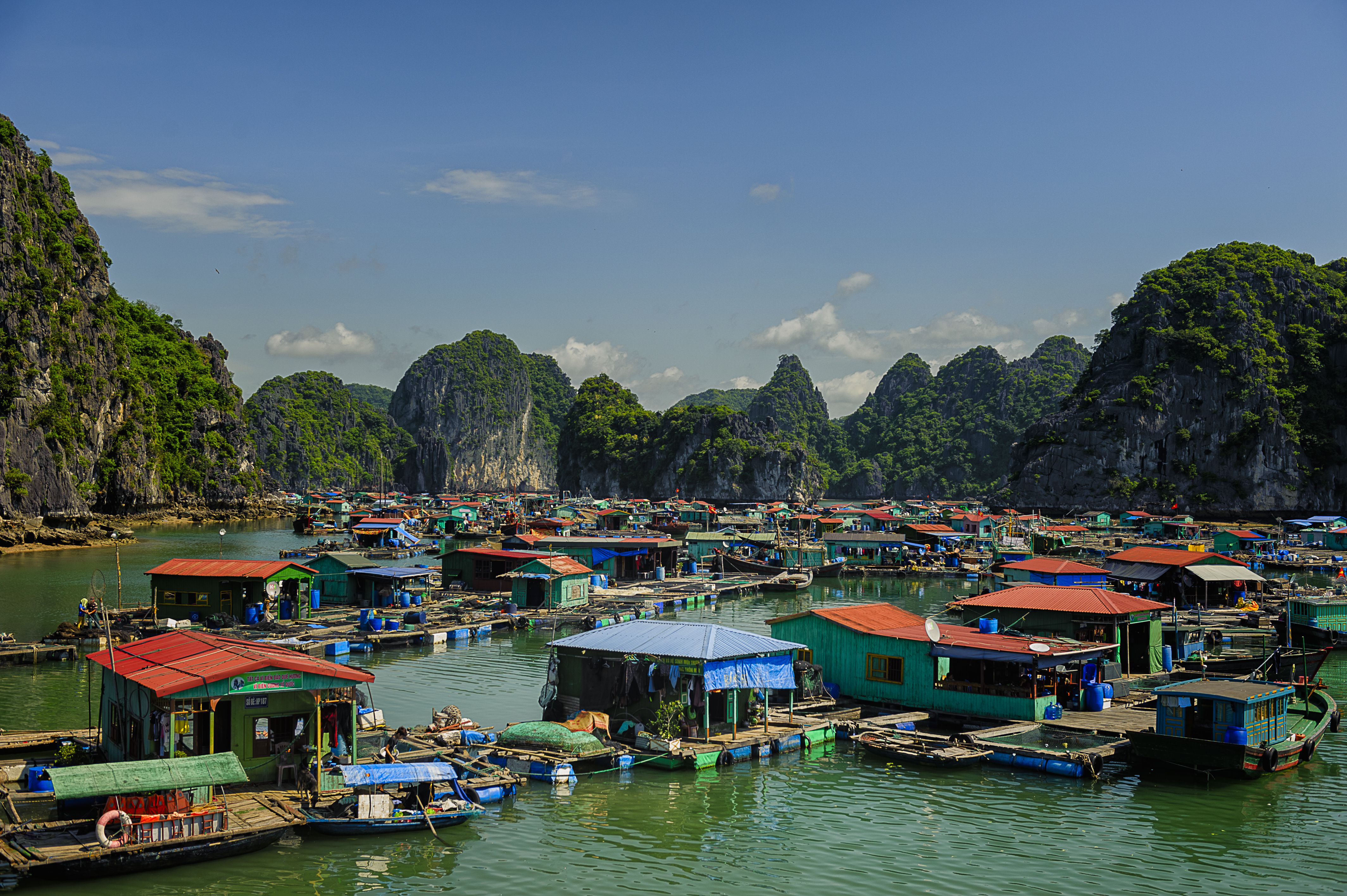 Vietnam Travel Guide: Halong Bay, Vietnam