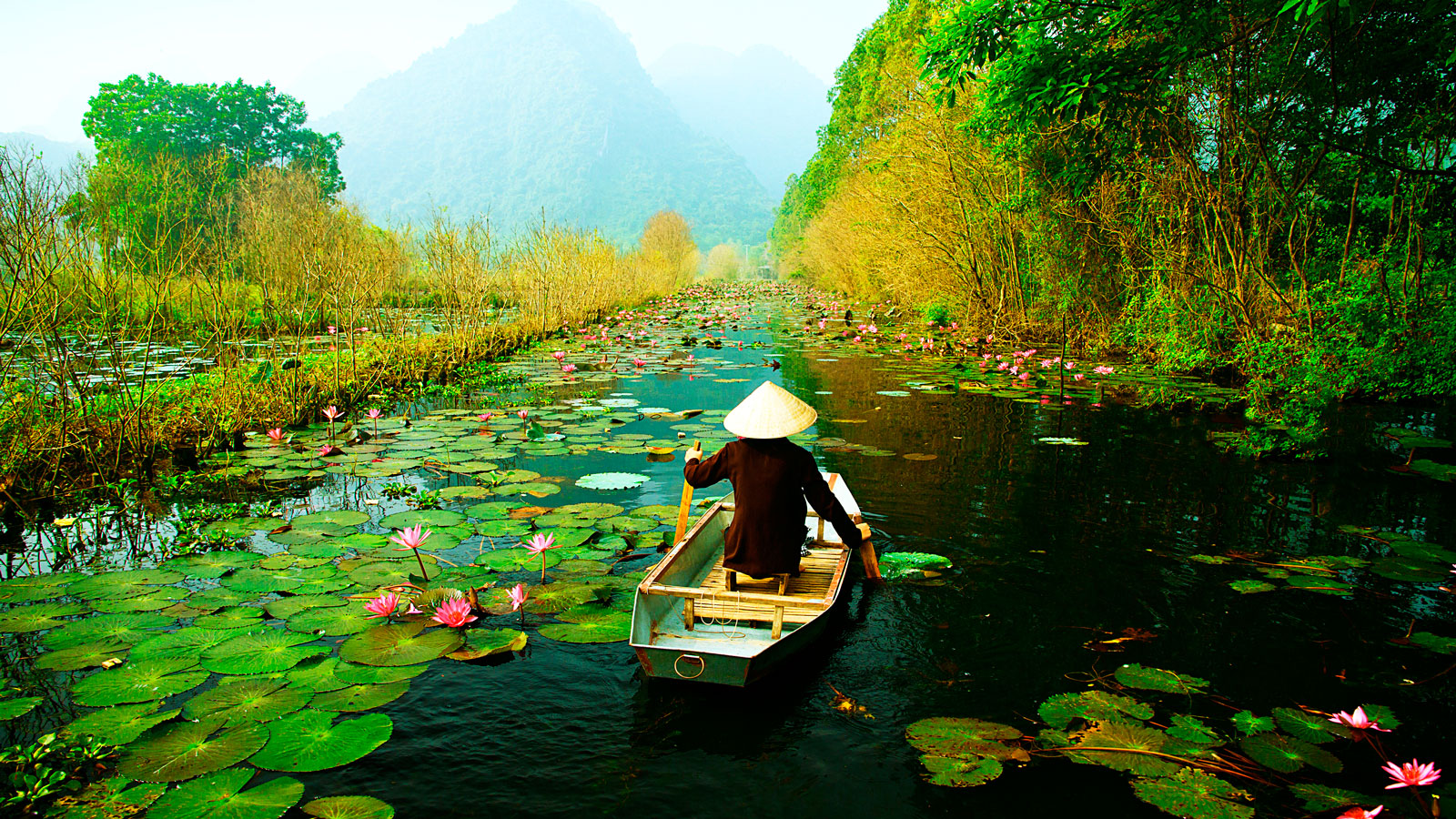 A Visit to Van Long Nature Reserve - A Hidden Gem of Vietnam