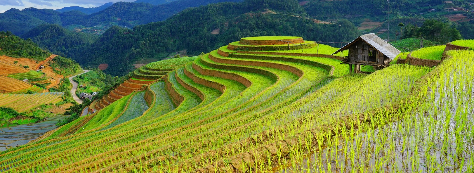 Sapa The Best Place For Trekking In Vietnam