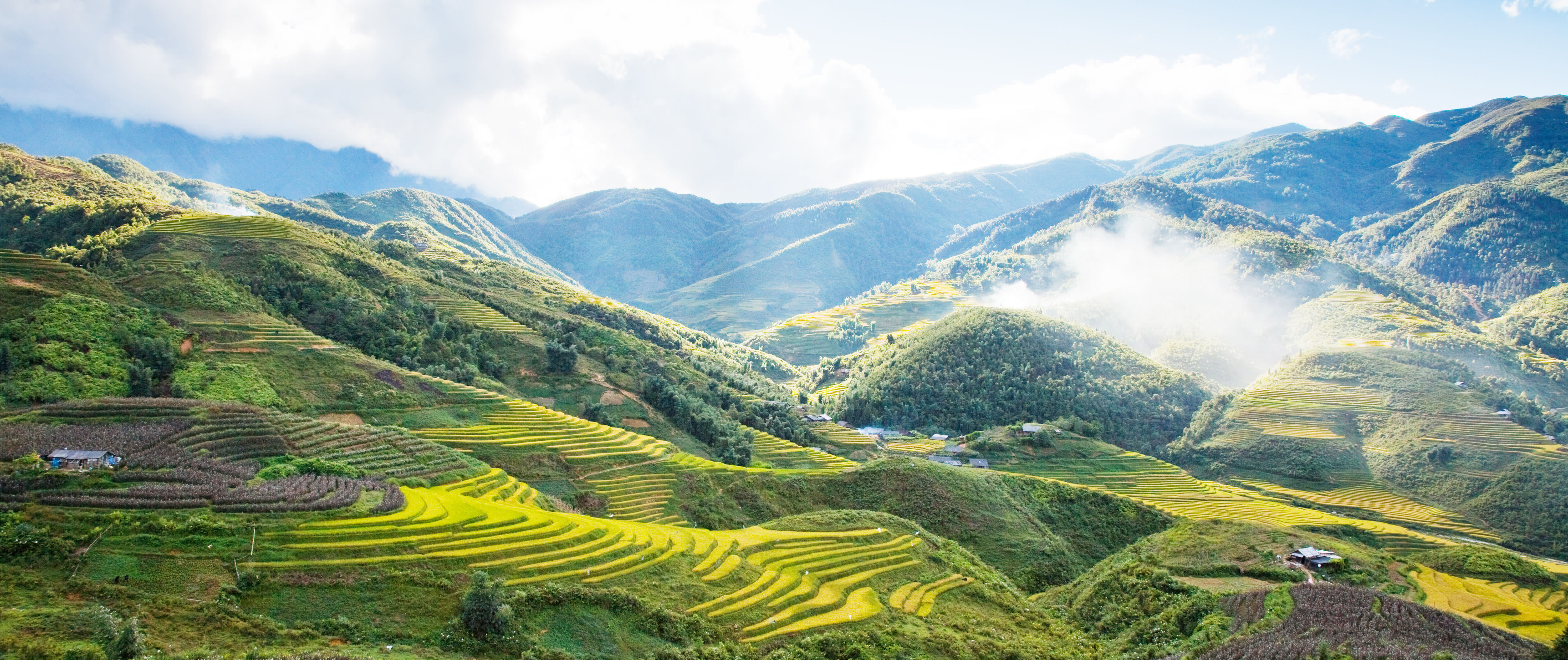 Embark on a majestic journey through the picturesque landscapes and rich cultural traditions of Sapa with unforgettable sapa tour.