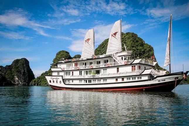 Best River Cruise Tours in Vietnam 2024