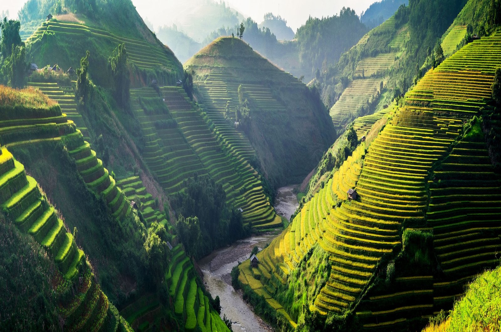 Breathtaking nature of Vietnam takes visitors on thrilling journey ...