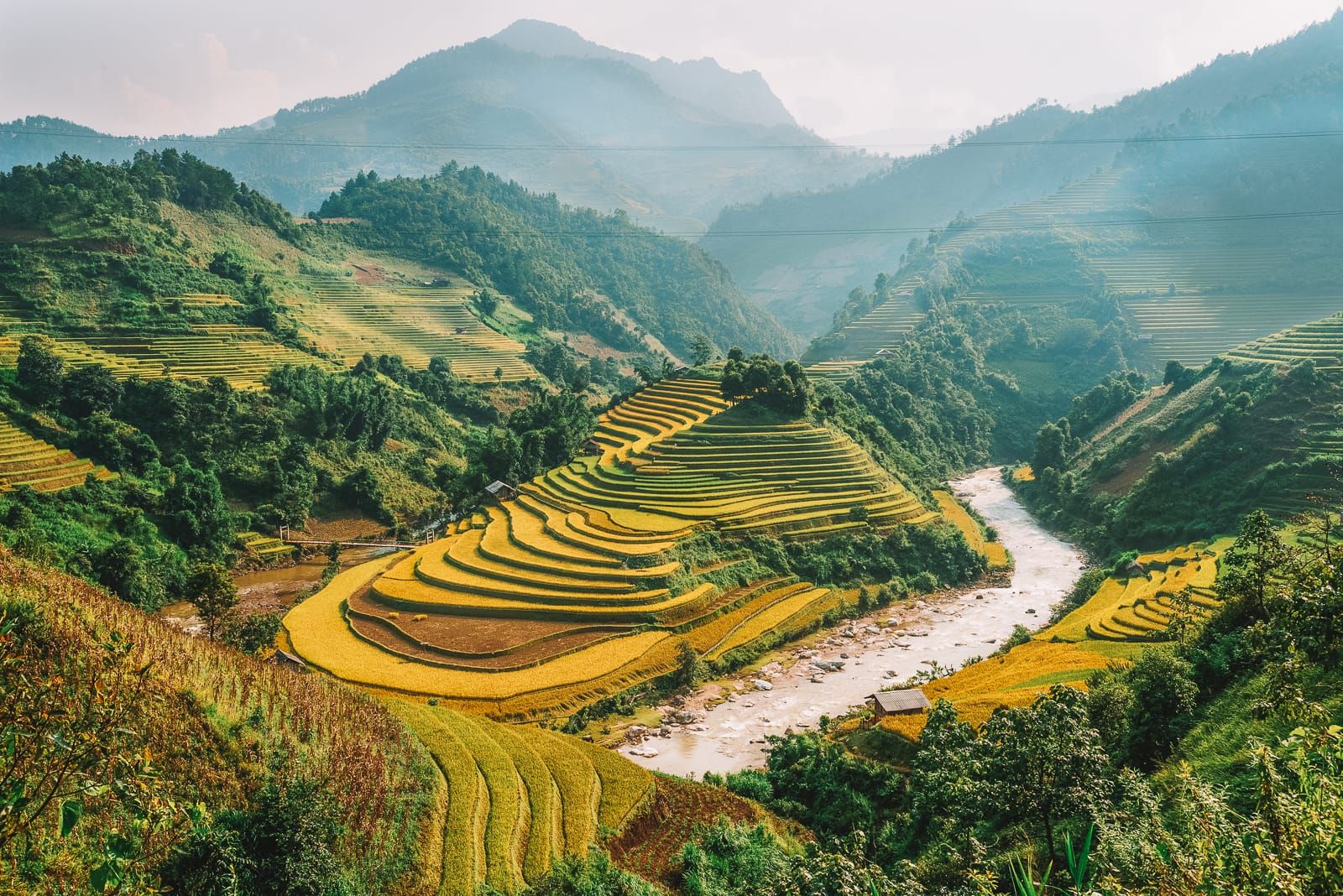 The terraced rice fields are dotted with green plants and trees