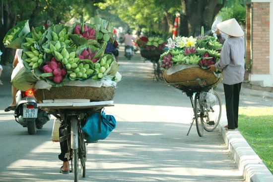 ASIA GREAT TOURS (Hanoi) - All You Need to Know BEFORE You Go