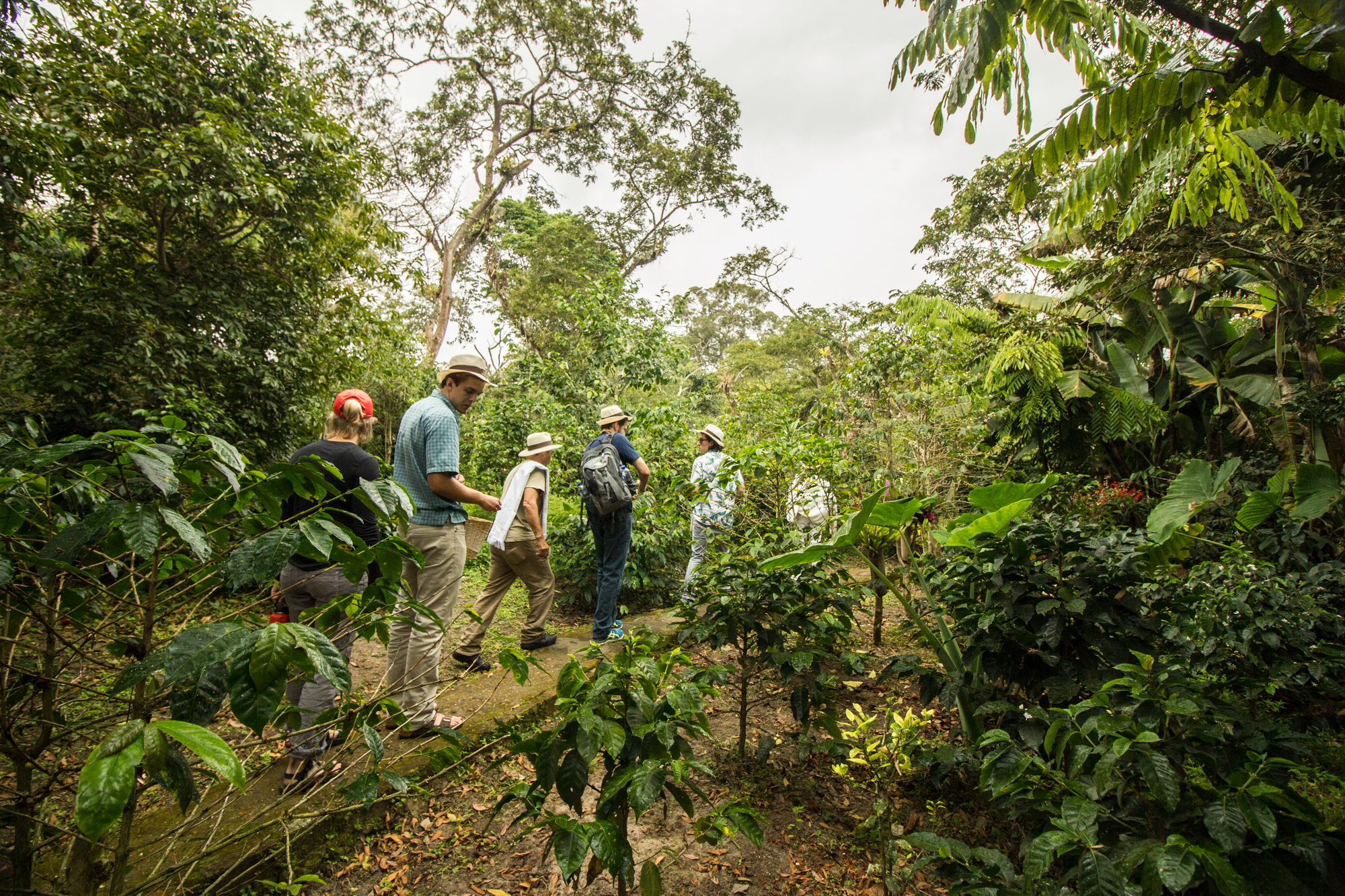 Visit the hidden paradise of Coffee Plantation Dalat