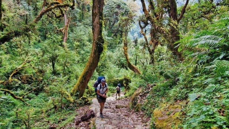 Take a walk on the wild side and explore the wonders of Dalat - Hiking in Dalat