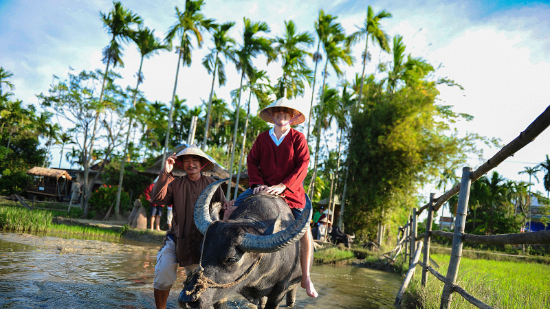 Get ready to explore Vietnam in a whole new way - private tours in Vietnam
