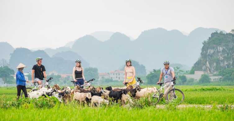 Let your adventurous spirit take flight and explore the majestic beauty of Ninh Binh by taking a cycling trip
