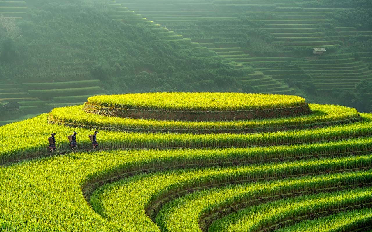 Experience the beauty of Vietnam natural wonders