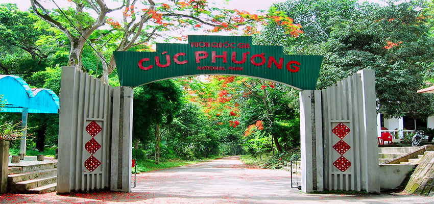 ake a walk on the wild side and explore Cuc Phuong National Park