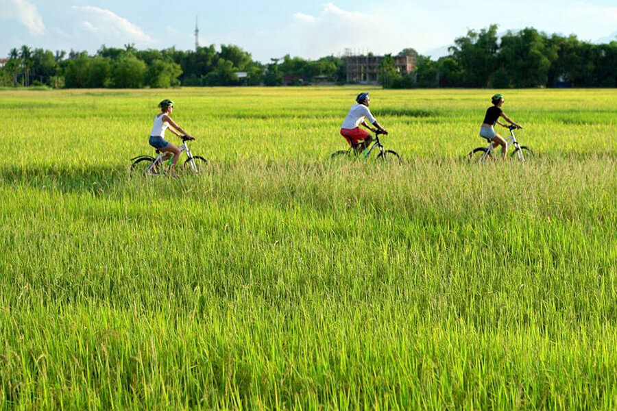 Pedaling through the picturesque pathways of Ky Son village in Hanoi, where time seems to slow down and nature becomes your playground. 