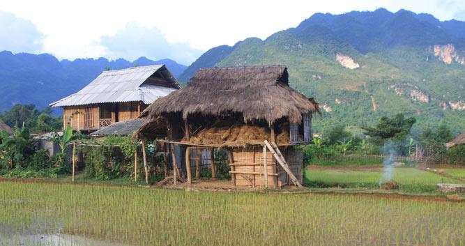 Get lost in the beauty of Mai Chau and explore the majestic charm of the ethnic minority villages