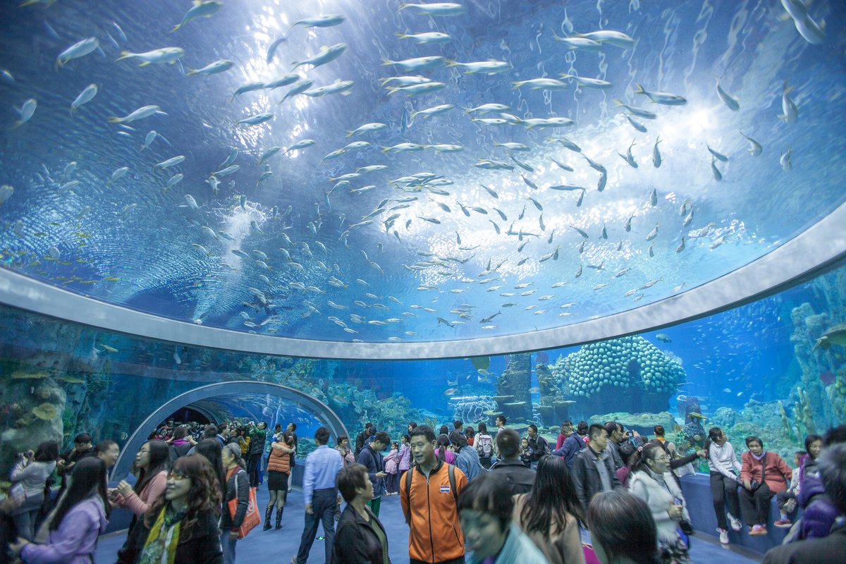 Explore the endless beauty beneath our oceans - National Oceanographic Museum Nha Trang