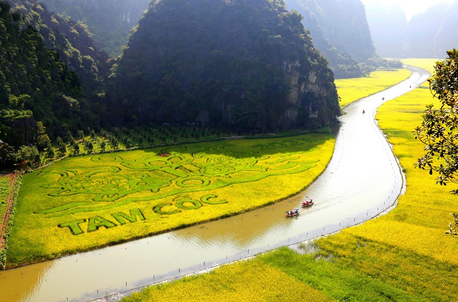 An experience thatll knock your socks off - vietnam family holiday packages