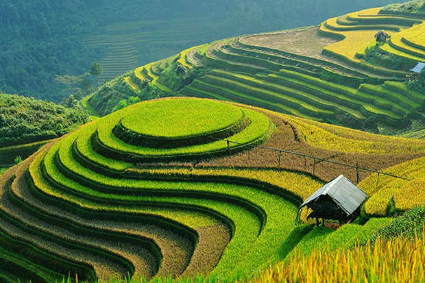 Experience the beauty of Mother Nature and immerse yourself in the majestic view of the rice terraces