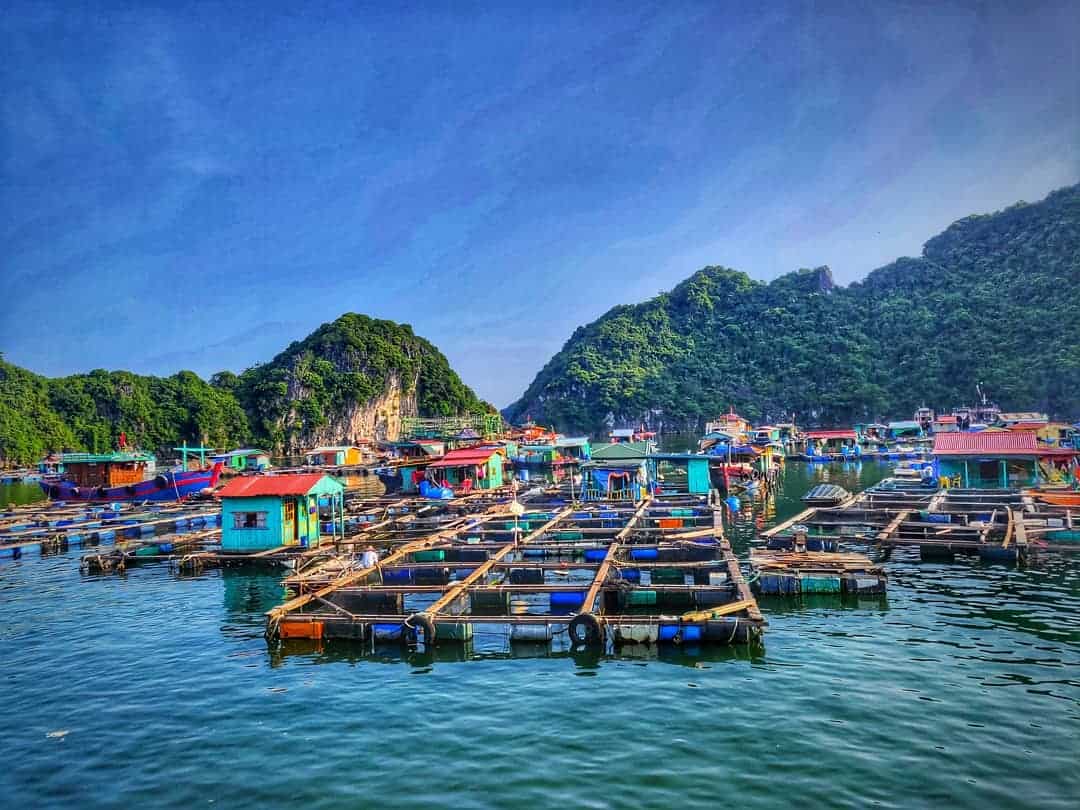 Floating villages in Halong Bay