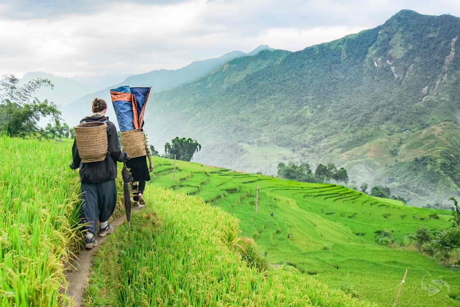 Ready to hit the trails and get lost in nature's wonder - touring in Vietnam