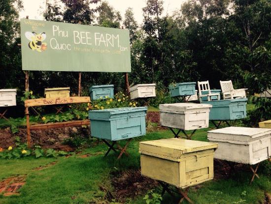 Bee Farms in Phu Quoc island