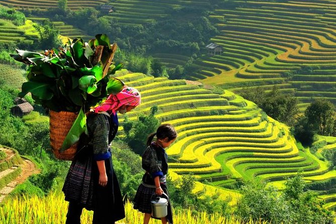 Take a journey and explore the vibrant sights, sounds, and flavors of Sapa - vietnam travel